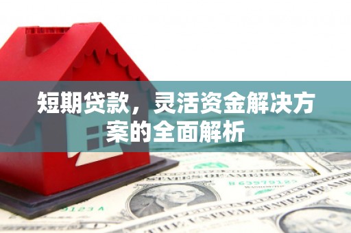 玄武短期贷款，灵活资金解决方案的全面解析
