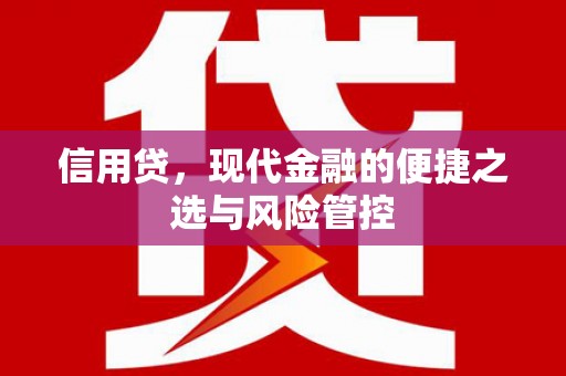 玄武信用贷，现代金融的便捷之选与风险管控