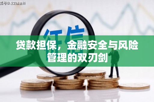 玄武贷款担保，金融安全与风险管理的双刃剑