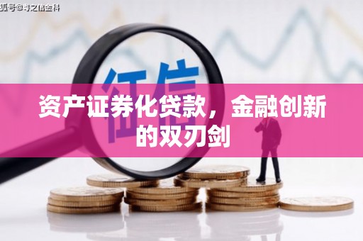 玄武资产证券化贷款，金融创新的双刃剑