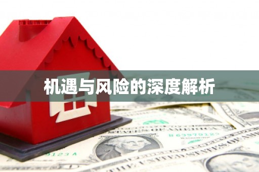 玄武机遇与风险的深度解析