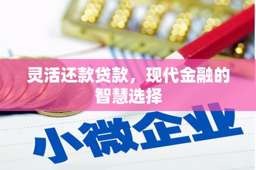 玄武灵活还款贷款，现代金融的智慧选择