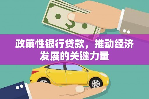玄武政策性银行贷款，推动经济发展的关键力量