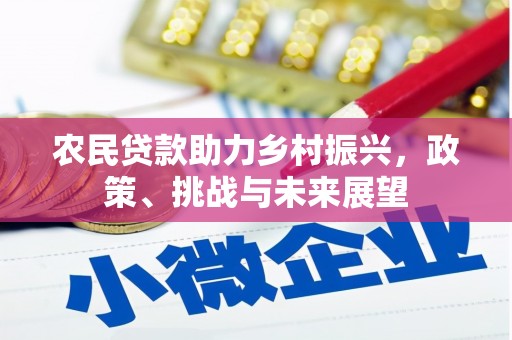 玄武农民贷款助力乡村振兴，政策、挑战与未来展望