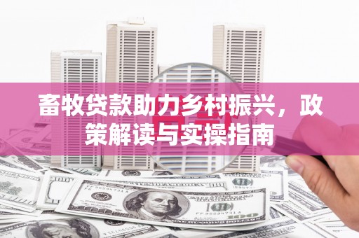 玄武畜牧贷款助力乡村振兴，政策解读与实操指南