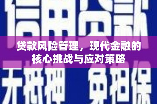 玄武贷款风险管理，现代金融的核心挑战与应对策略