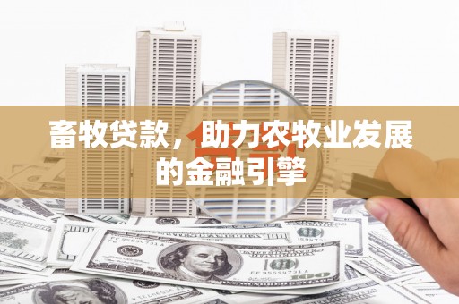 玄武畜牧贷款，助力农牧业发展的金融引擎