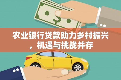 玄武农业银行贷款助力乡村振兴，机遇与挑战并存