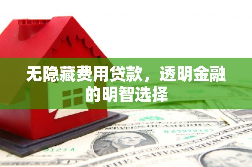 玄武无隐藏费用贷款，透明金融的明智选择