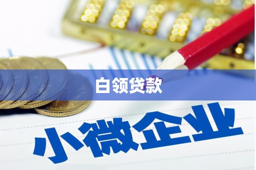 玄武白领贷款