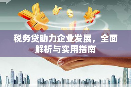 玄武税务贷助力企业发展，全面解析与实用指南