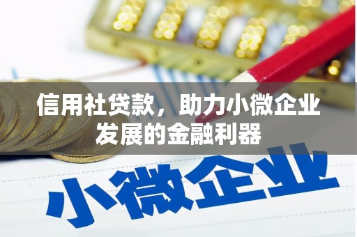 玄武信用社贷款，助力小微企业发展的金融利器