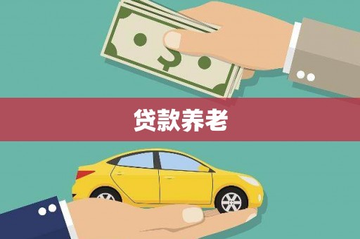 玄武贷款养老