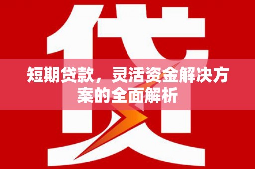 玄武短期贷款，灵活资金解决方案的全面解析