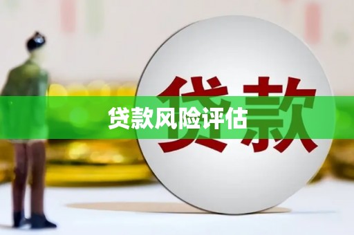 玄武贷款风险评估