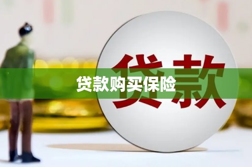 玄武贷款购买保险