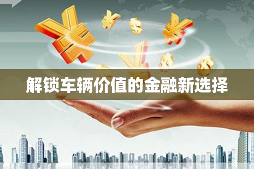 玄武解锁车辆价值的金融新选择