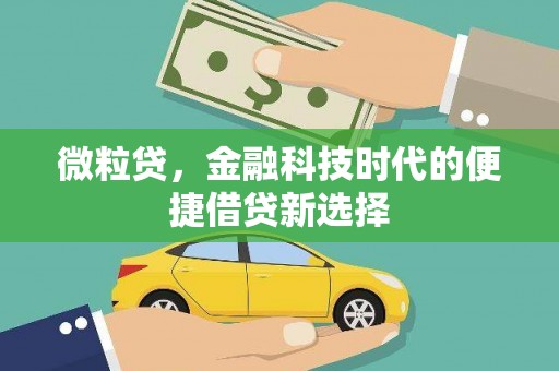 玄武微粒贷，金融科技时代的便捷借贷新选择