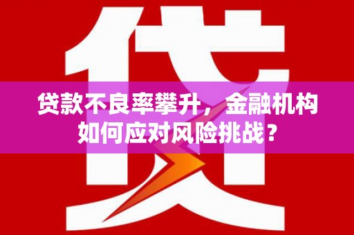玄武贷款不良率攀升，金融机构如何应对风险挑战？