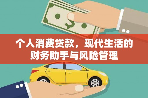 玄武个人消费贷款，现代生活的财务助手与风险管理