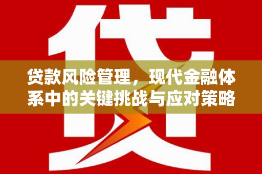 玄武贷款风险管理，现代金融体系中的关键挑战与应对策略