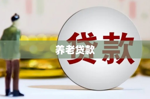 玄武养老贷款