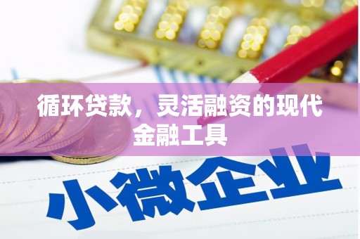 玄武循环贷款，灵活融资的现代金融工具