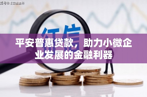 玄武平安普惠贷款，助力小微企业发展的金融利器