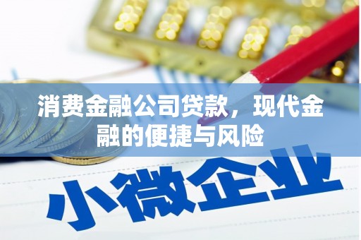 玄武消费金融公司贷款，现代金融的便捷与风险