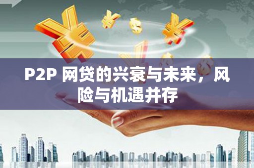 玄武P2P 网贷的兴衰与未来，风险与机遇并存
