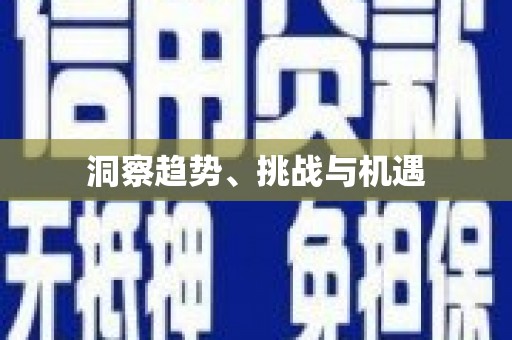 玄武洞察趋势、挑战与机遇