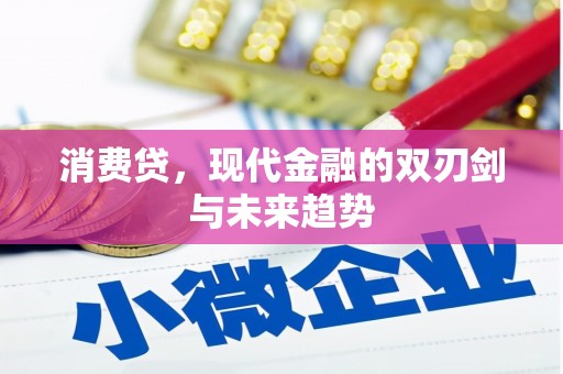 玄武消费贷，现代金融的双刃剑与未来趋势