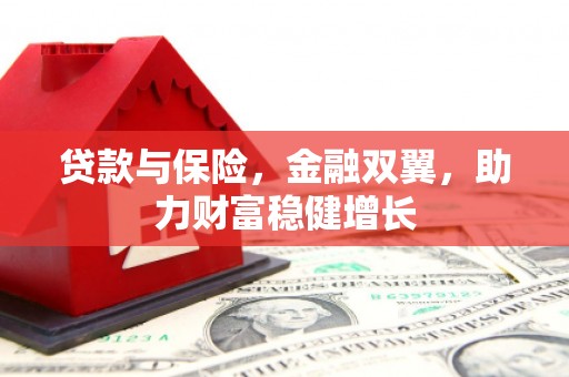 玄武贷款与保险，金融双翼，助力财富稳健增长