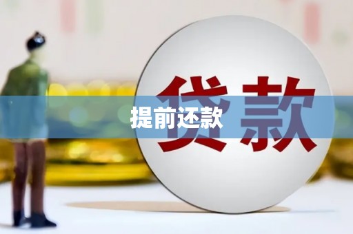 玄武提前还款