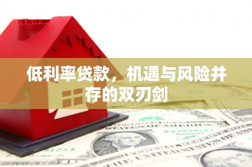 玄武低利率贷款，机遇与风险并存的双刃剑