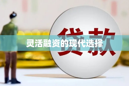 玄武灵活融资的现代选择