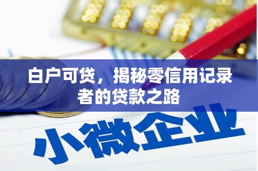 玄武白户可贷，揭秘零信用记录者的贷款之路
