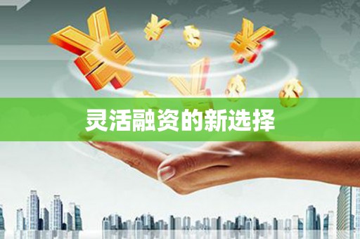 玄武灵活融资的新选择