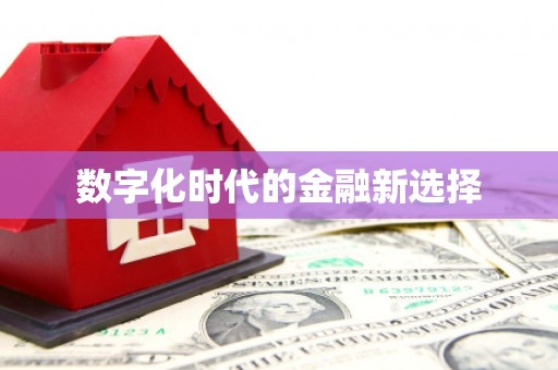 玄武数字化时代的金融新选择