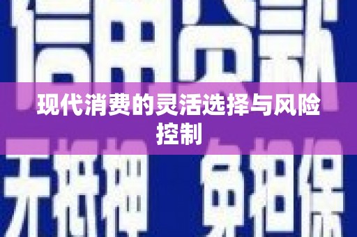 玄武现代消费的灵活选择与风险控制