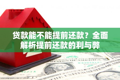 玄武贷款能不能提前还款？全面解析提前还款的利与弊