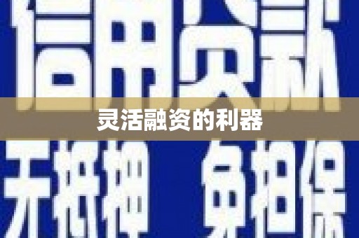 玄武灵活融资的利器
