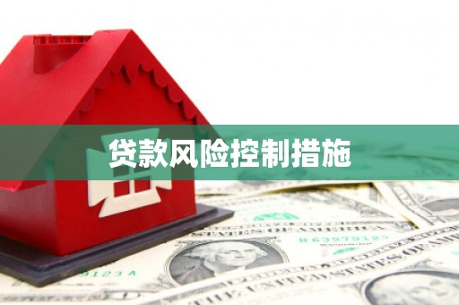 玄武贷款风险控制措施