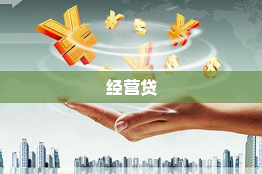 玄武经营贷