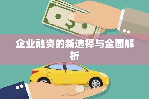 玄武企业融资的新选择与全面解析