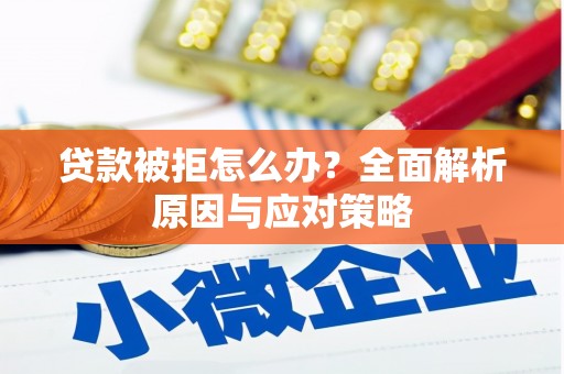 玄武贷款被拒怎么办？全面解析原因与应对策略