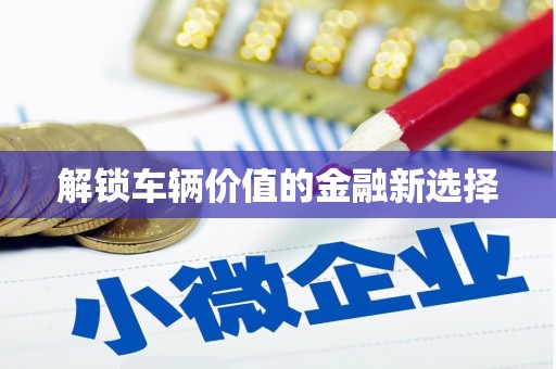 玄武解锁车辆价值的金融新选择