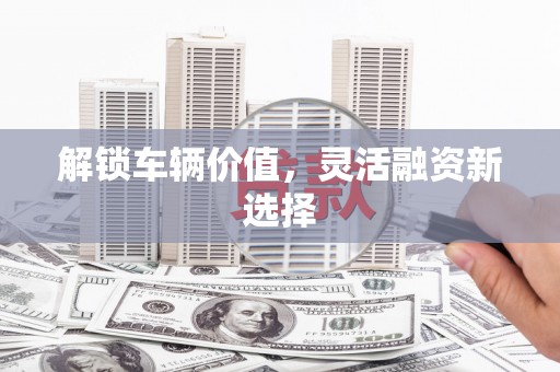 玄武解锁车辆价值，灵活融资新选择