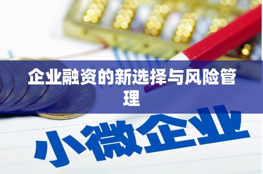 玄武企业融资的新选择与风险管理