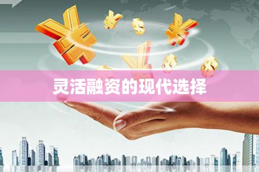 玄武灵活融资的现代选择